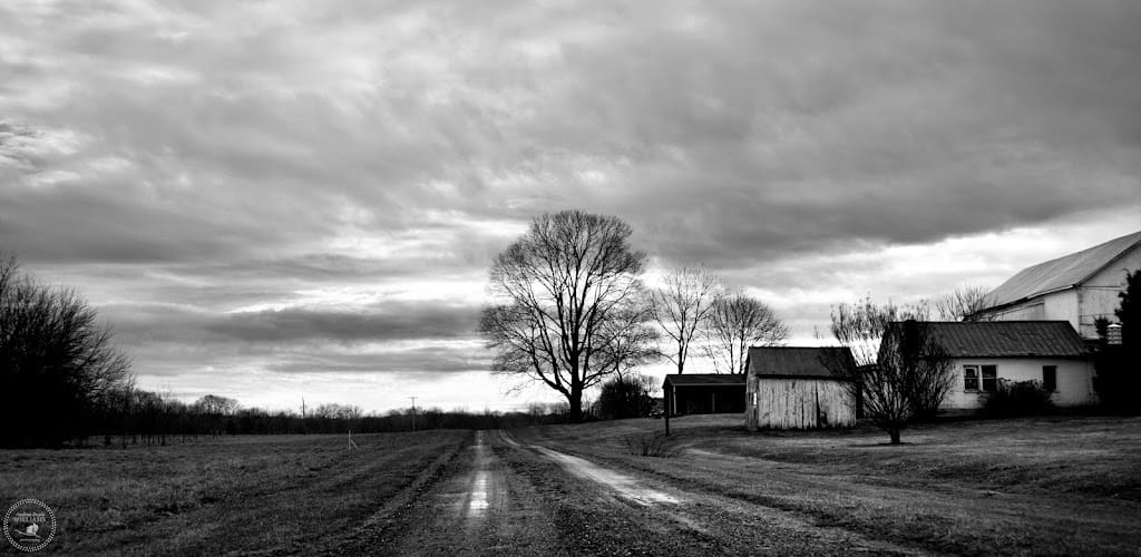 Adamstown Farm